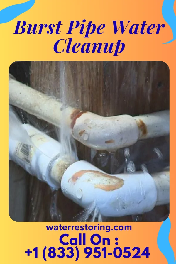 Burst Pipe Water Cleanup in Cypress Landing, NC