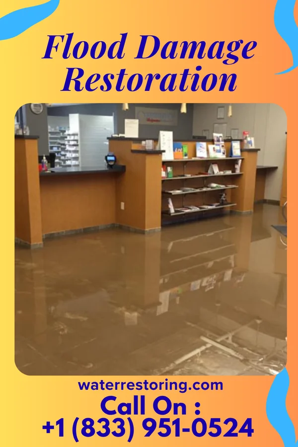 Flood Damage Restoration in Cypress Landing, NC