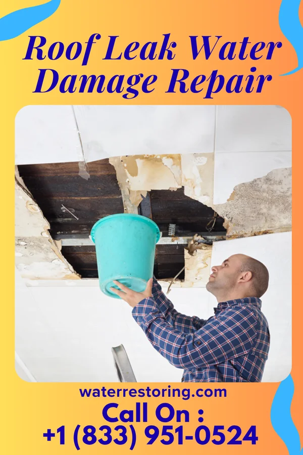 Roof Leak Water Damage Repair in Cypress Landing, NC