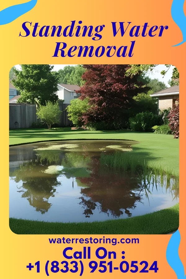 Standing Water Removal in Cypress Landing, NC
